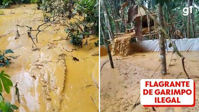 Retorno do garimpo, desnutrição, avanço da malária e mortes: o raio X da Terra Yanomami 1 ano após governo decretar emergência