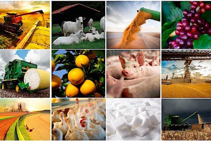 Agronegócio comemora permissão para exportar 100 novos produtos para 49 países