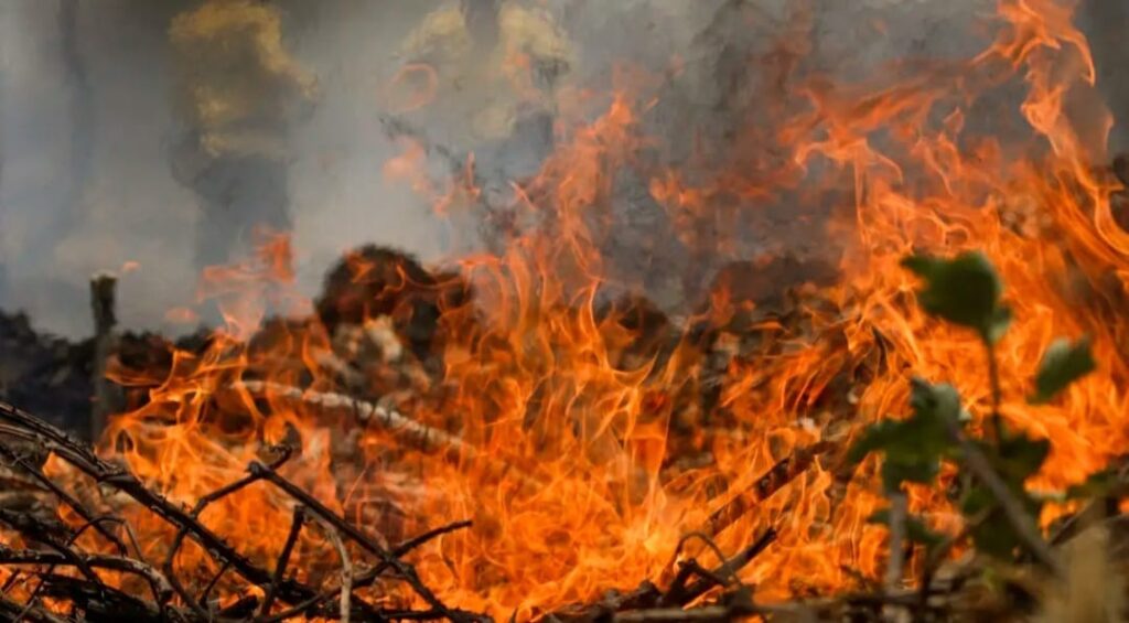 Governo destina R$ 137,6 milhões para combate a queimadas no Pantanal