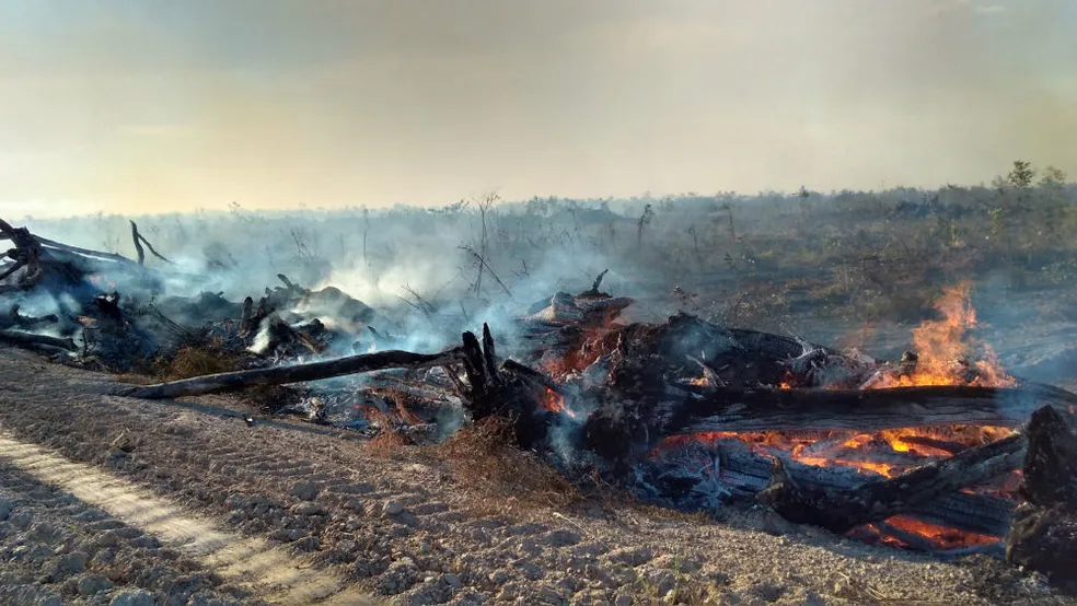 Queimadas no Tocantins mais que dobraram no mês de agosto, apontam dados do Inpe