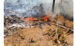 Dois municípios do sul do Pará contarão com a Força Nacional para combater incêndios florestais