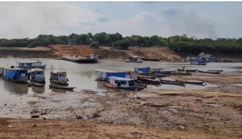 Governo do Pará decreta situação de emergência ambiental