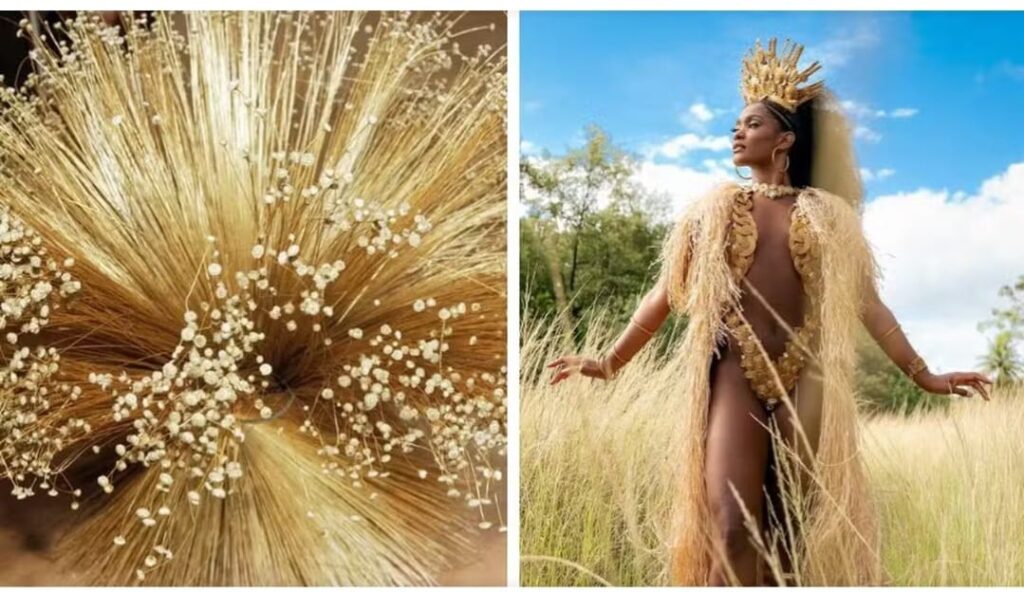 Artesanato em capim dourado do Tocantins é reconhecido como manifestação da cultura nacional